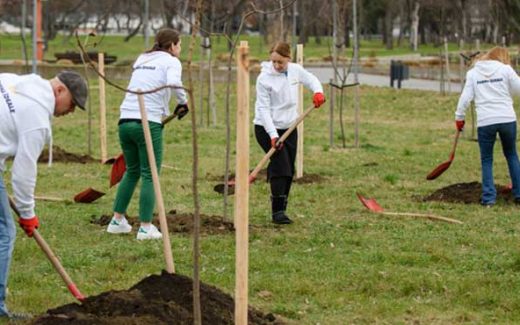 Forma Ideale – 50 sadnica kao poklon za zeleniji Beograd